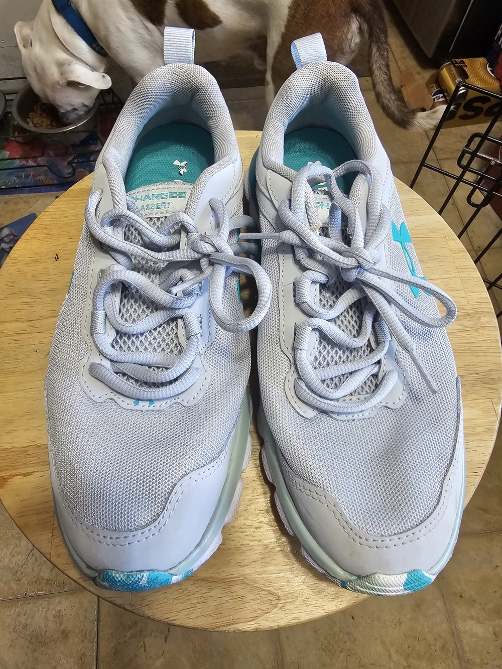 Under Armour Women's Gray & Teal Athletic Sneakers